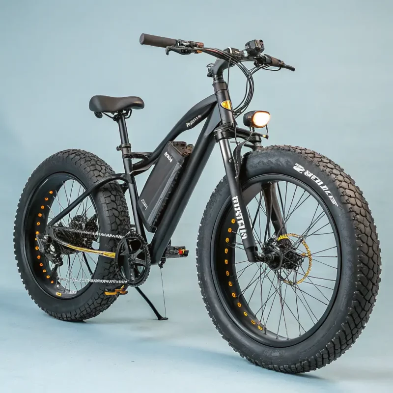 Fat Tire Ebike