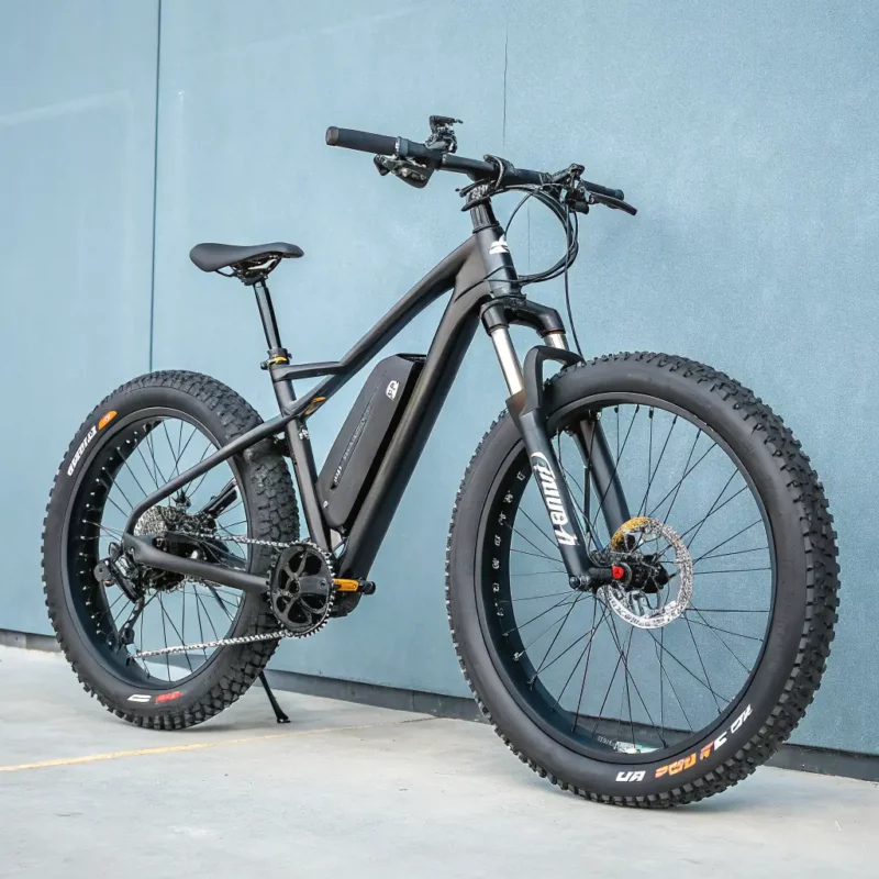 Mountain Ebike